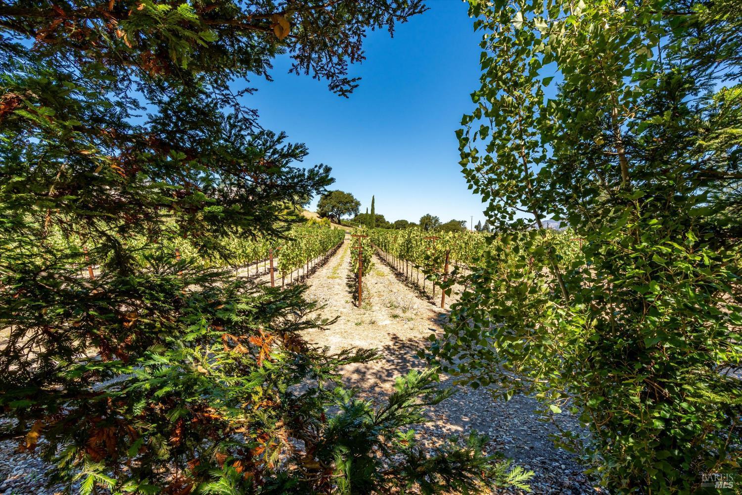1054 Olive Hill Lane Napa CA 94558