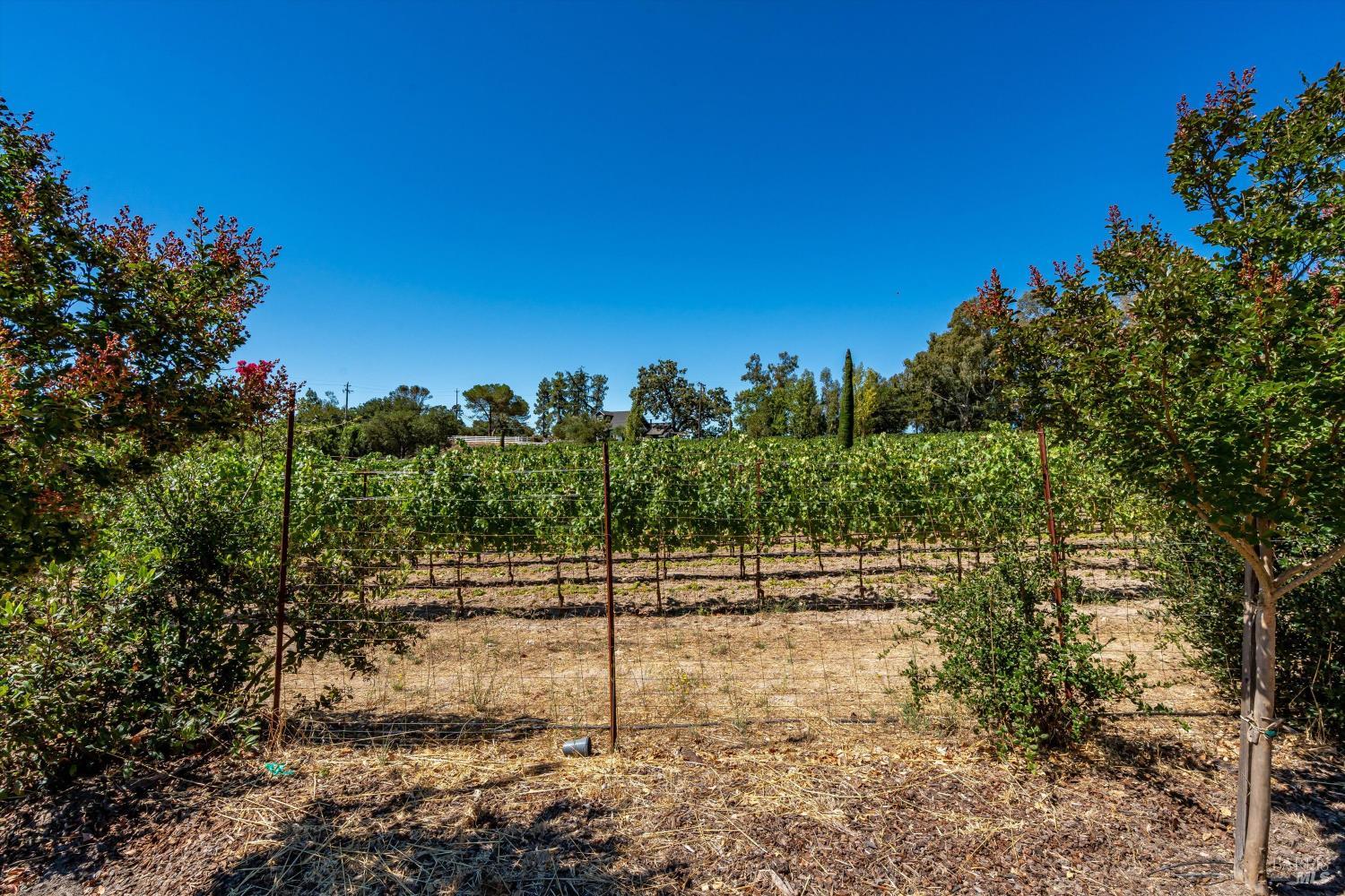 1054 Olive Hill Lane Napa CA 94558