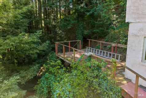 51 Monte Cimas Avenue Mill Valley CA 94941