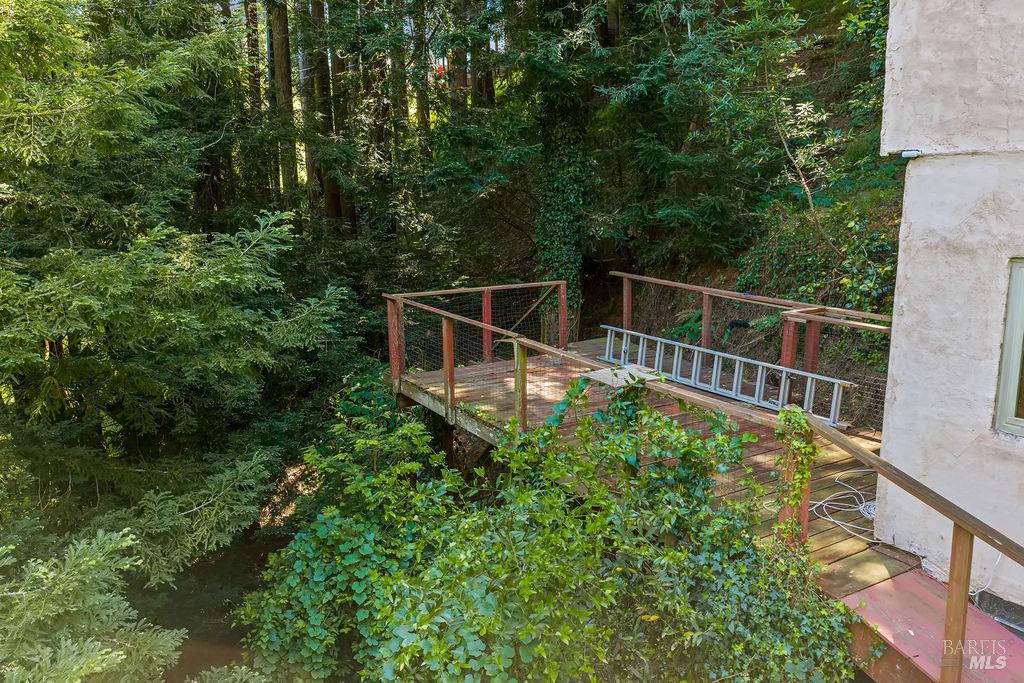 51 Monte Cimas Avenue Mill Valley CA 94941