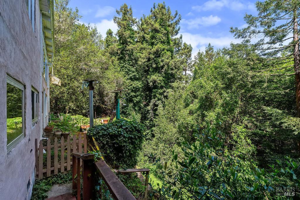 51 Monte Cimas Avenue Mill Valley CA 94941
