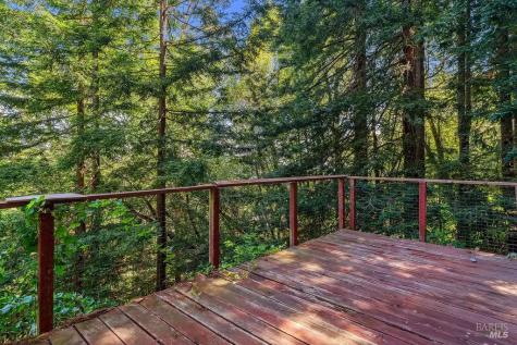 51 Monte Cimas Avenue Mill Valley CA 94941