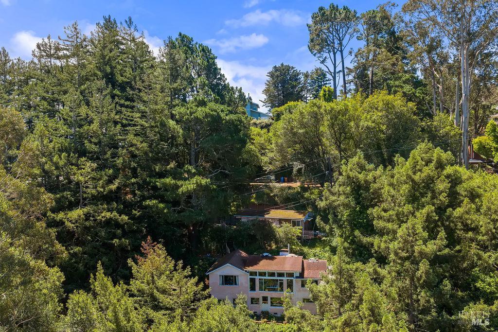 51 Monte Cimas Avenue Mill Valley CA 94941