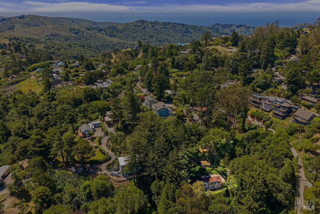 51 Monte Cimas Avenue Mill Valley CA 94941