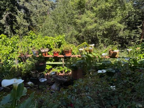 51 Monte Cimas Avenue Mill Valley CA 94941