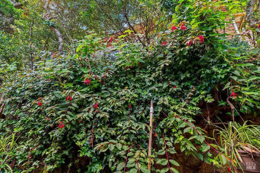 51 Monte Cimas Avenue Mill Valley CA 94941