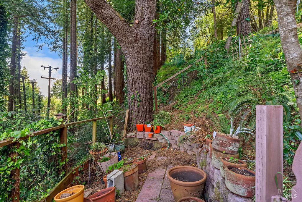 51 Monte Cimas Avenue Mill Valley CA 94941