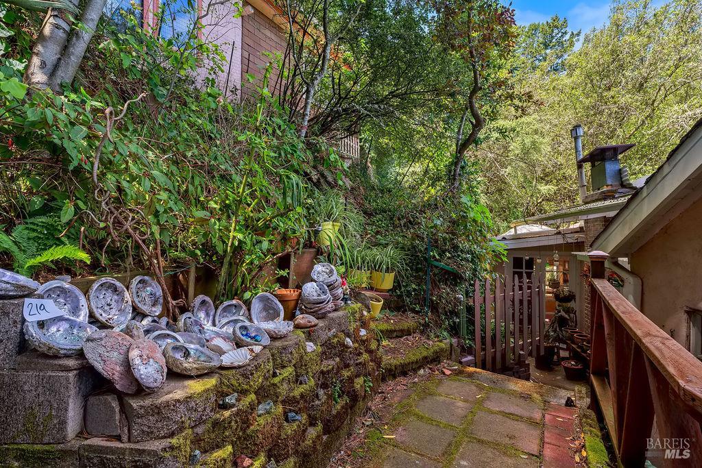 51 Monte Cimas Avenue Mill Valley CA 94941