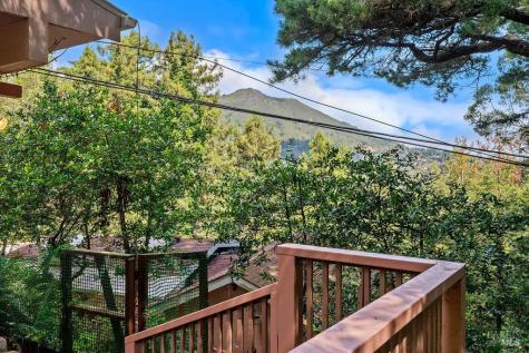 51 Monte Cimas Avenue Mill Valley CA 94941