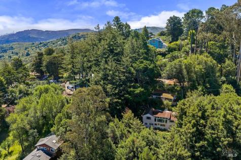51 Monte Cimas Avenue Mill Valley CA 94941