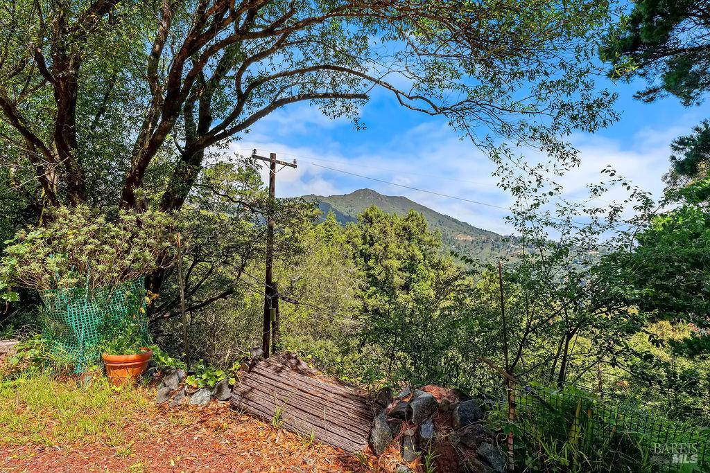 51 Monte Cimas Avenue Mill Valley CA 94941
