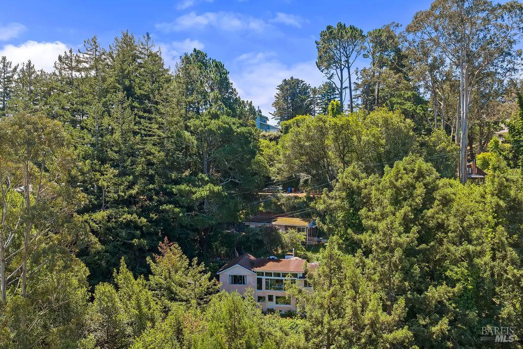 51 Monte Cimas Avenue Mill Valley CA 94941