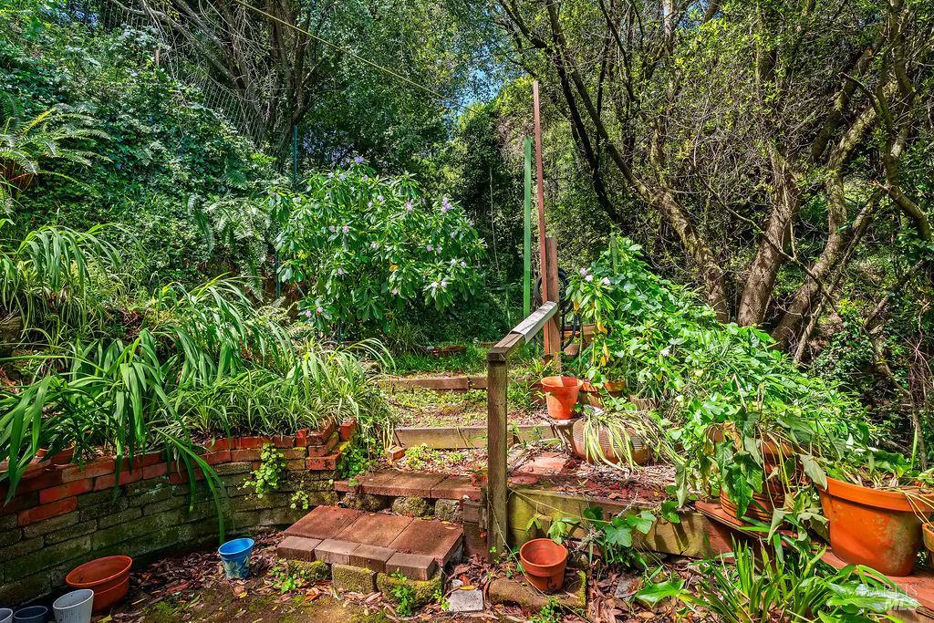 51 Monte Cimas Avenue Mill Valley CA 94941