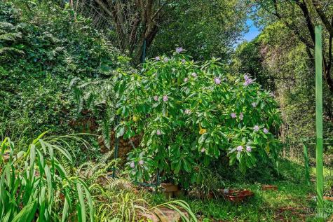 51 Monte Cimas Avenue Mill Valley CA 94941