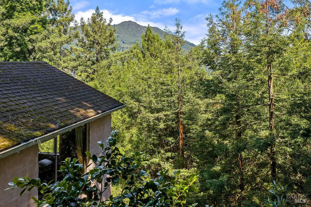 51 Monte Cimas Avenue Mill Valley CA 94941