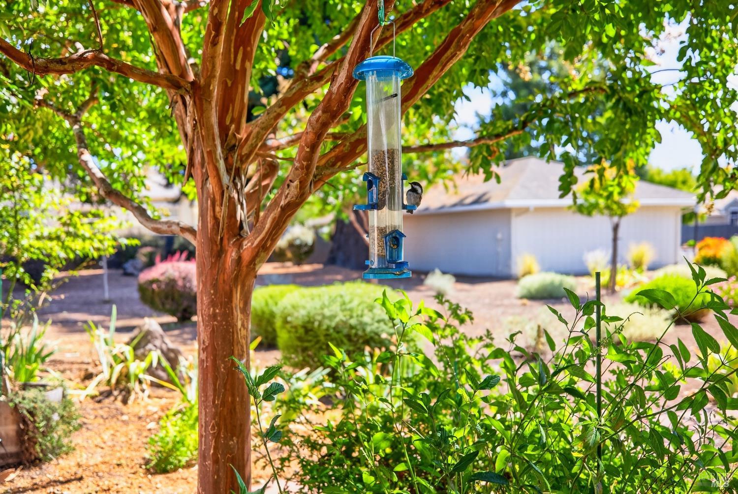 24 Aspen Meadows Circle Santa Rosa CA 95409