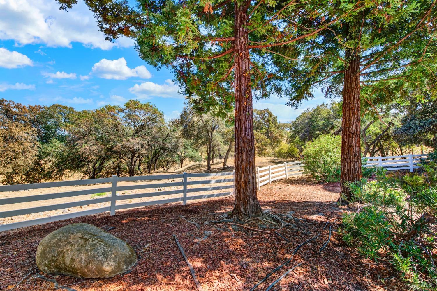 4150 Shelly Lane Vacaville CA 95688