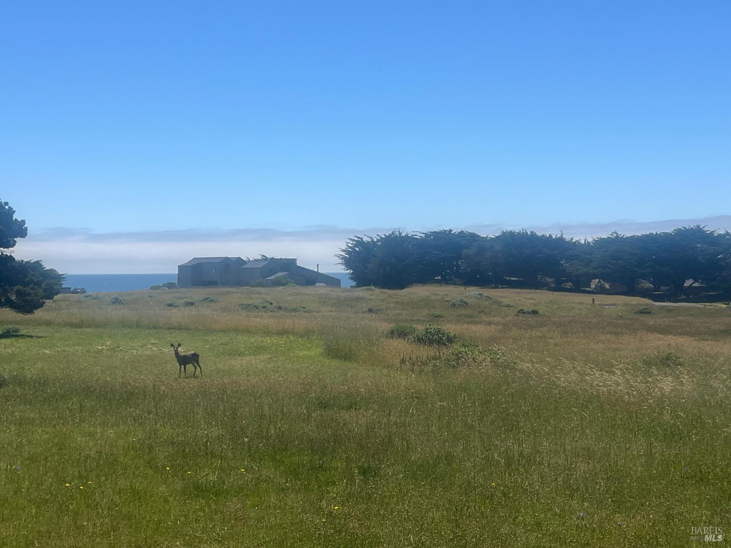 267 Sea Stack The Sea Ranch CA 95497
