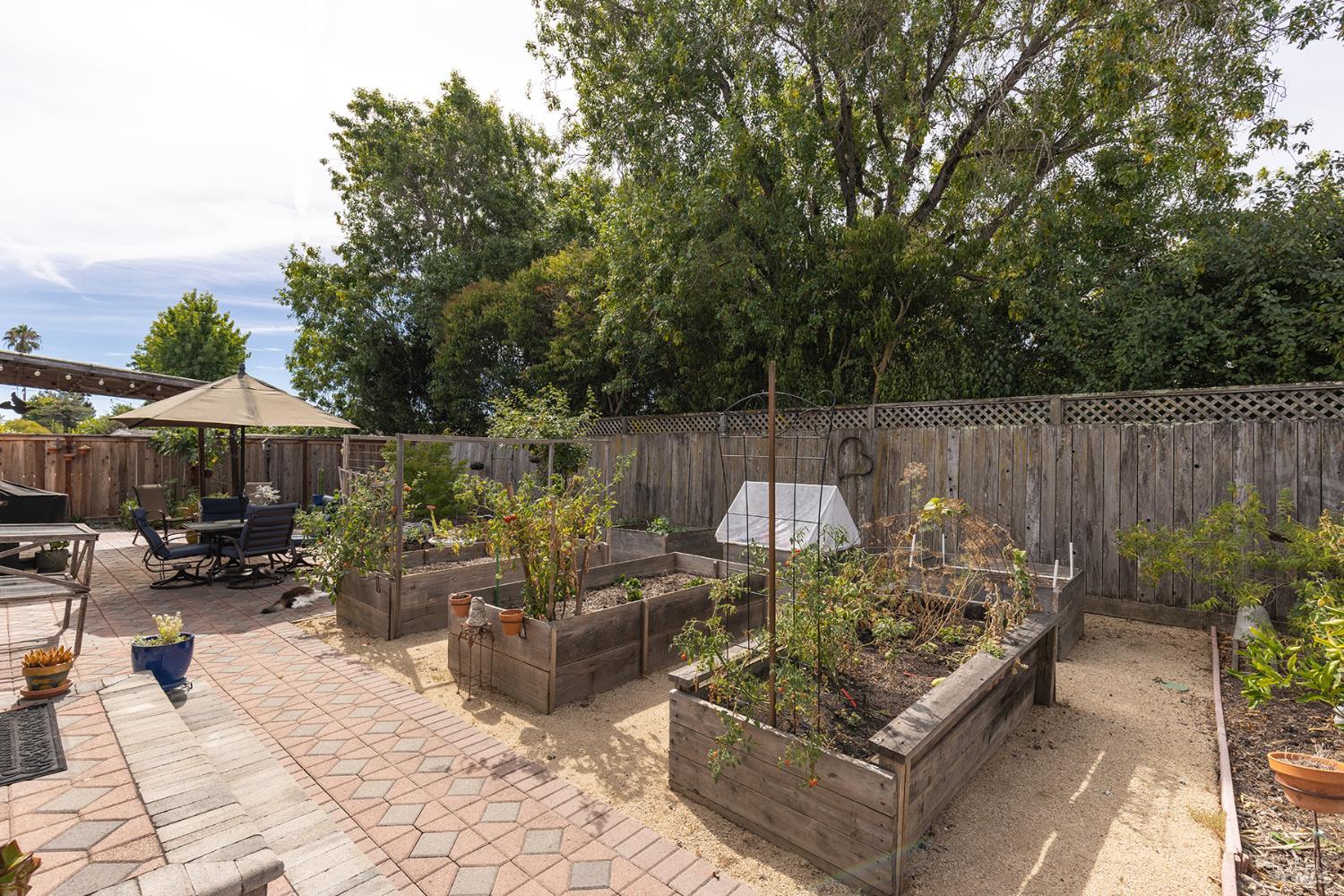 204 Sutter Street Petaluma CA 94954