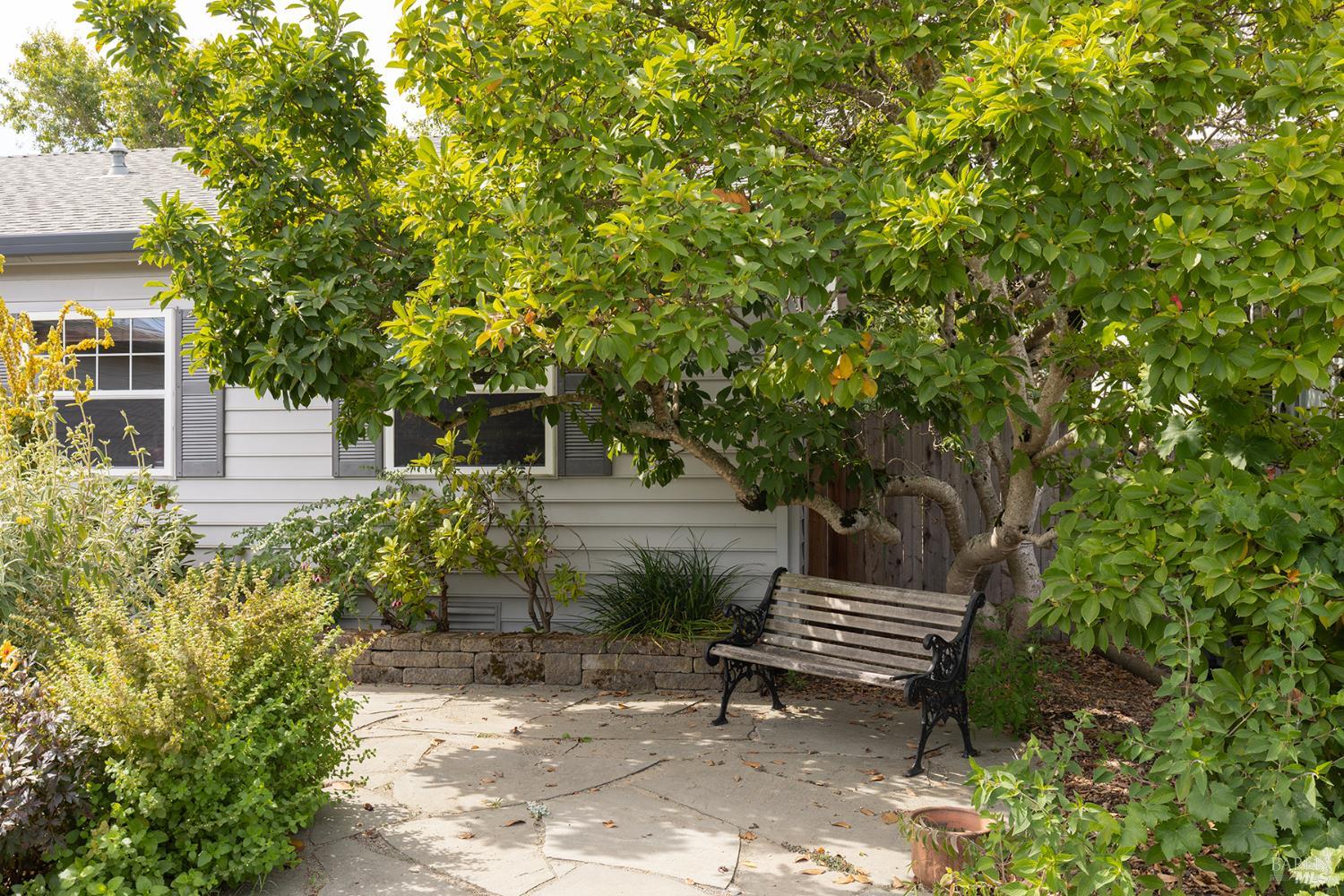 204 Sutter Street Petaluma CA 94954