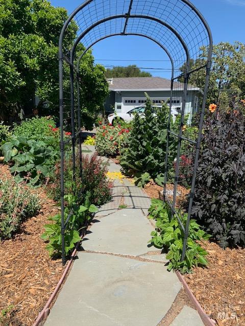 204 Sutter Street Petaluma CA 94954