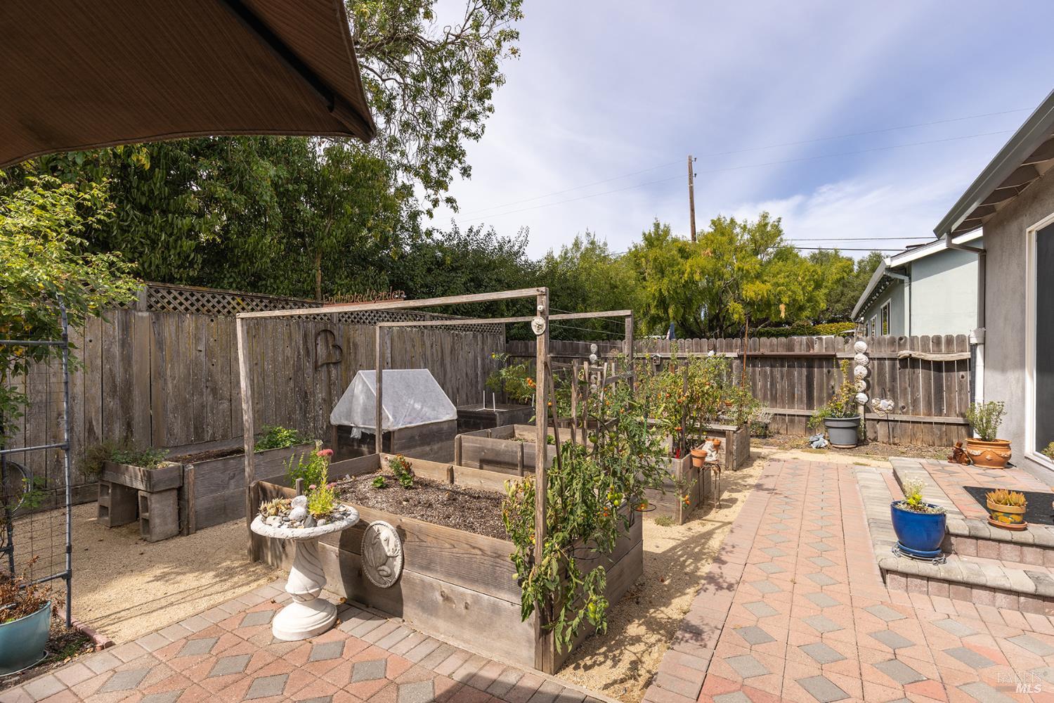 204 Sutter Street Petaluma CA 94954