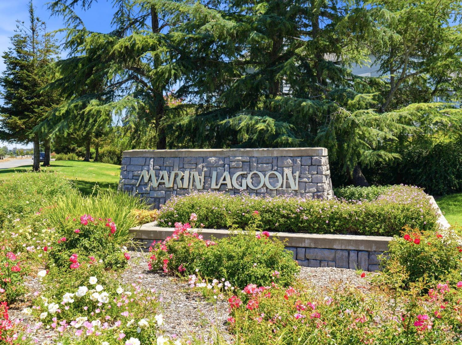 3 Lagoon Court San Rafael CA 94903