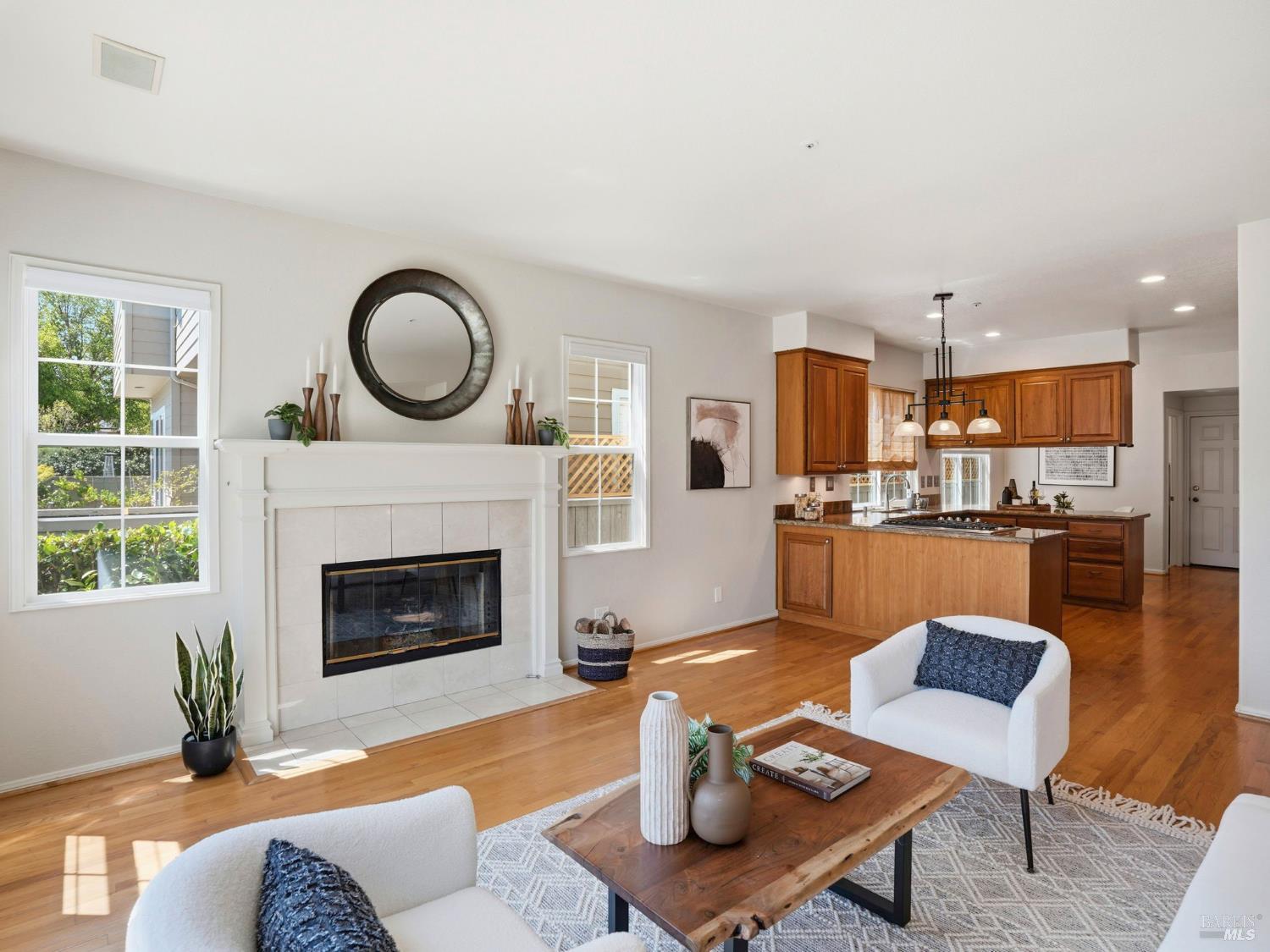 3 Lagoon Court San Rafael CA 94903