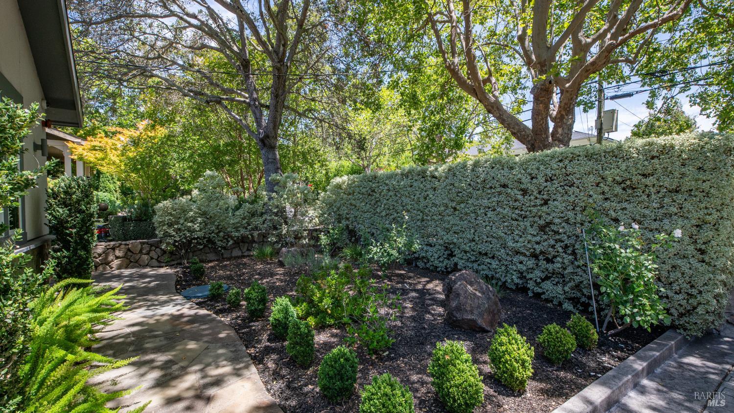 21 Eye Street San Rafael CA 94901