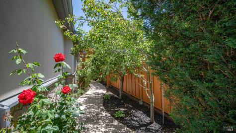 21 Eye Street San Rafael CA 94901