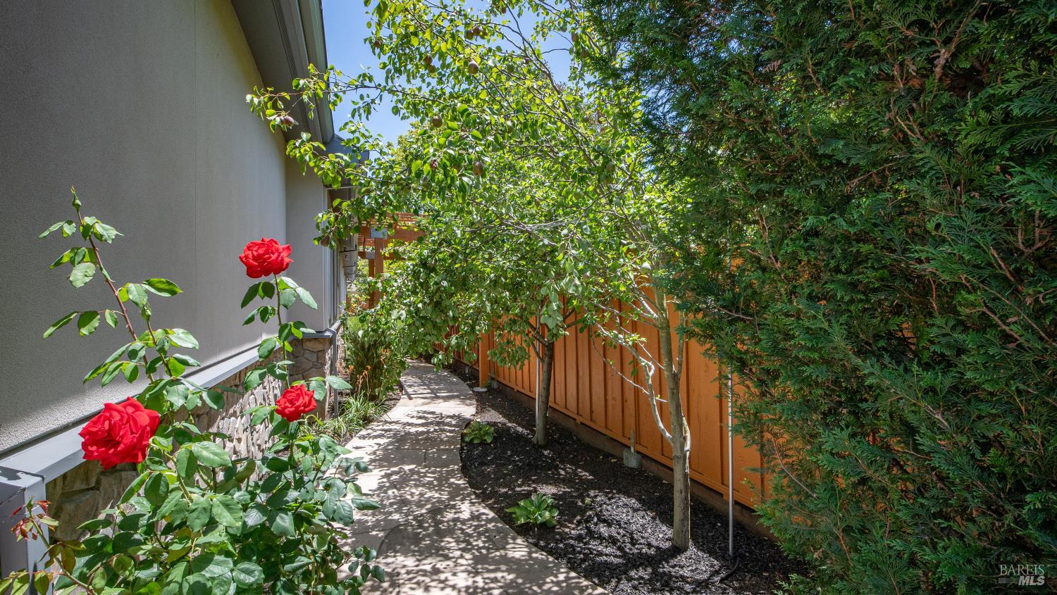 21 Eye Street San Rafael CA 94901
