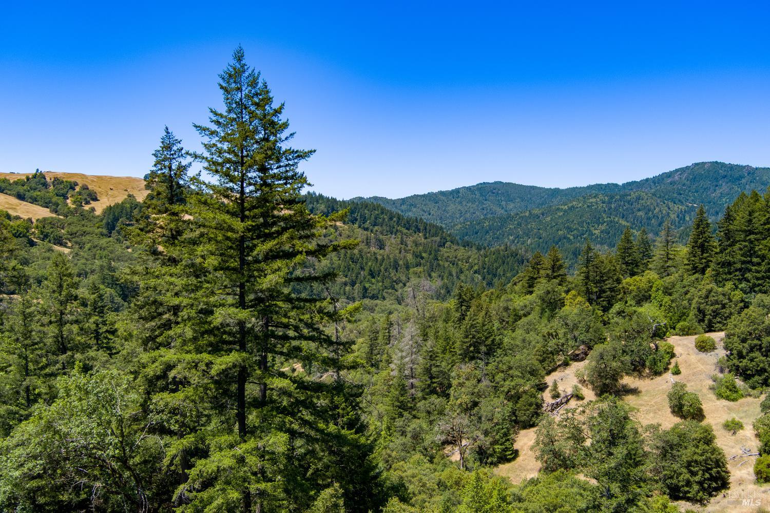 60890 Bell Springs Road Laytonville CA 95454