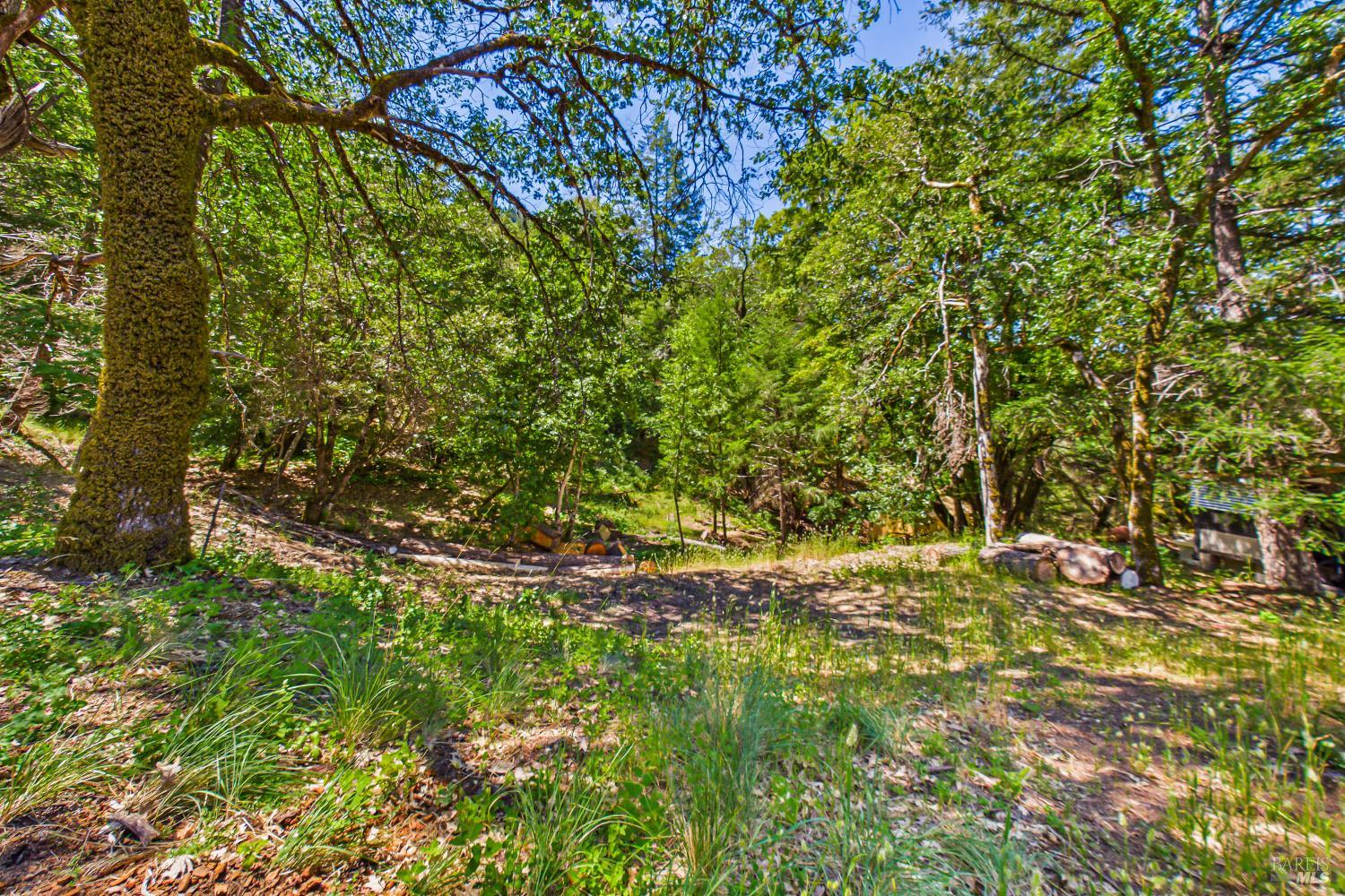 60890 Bell Springs Road Laytonville CA 95454