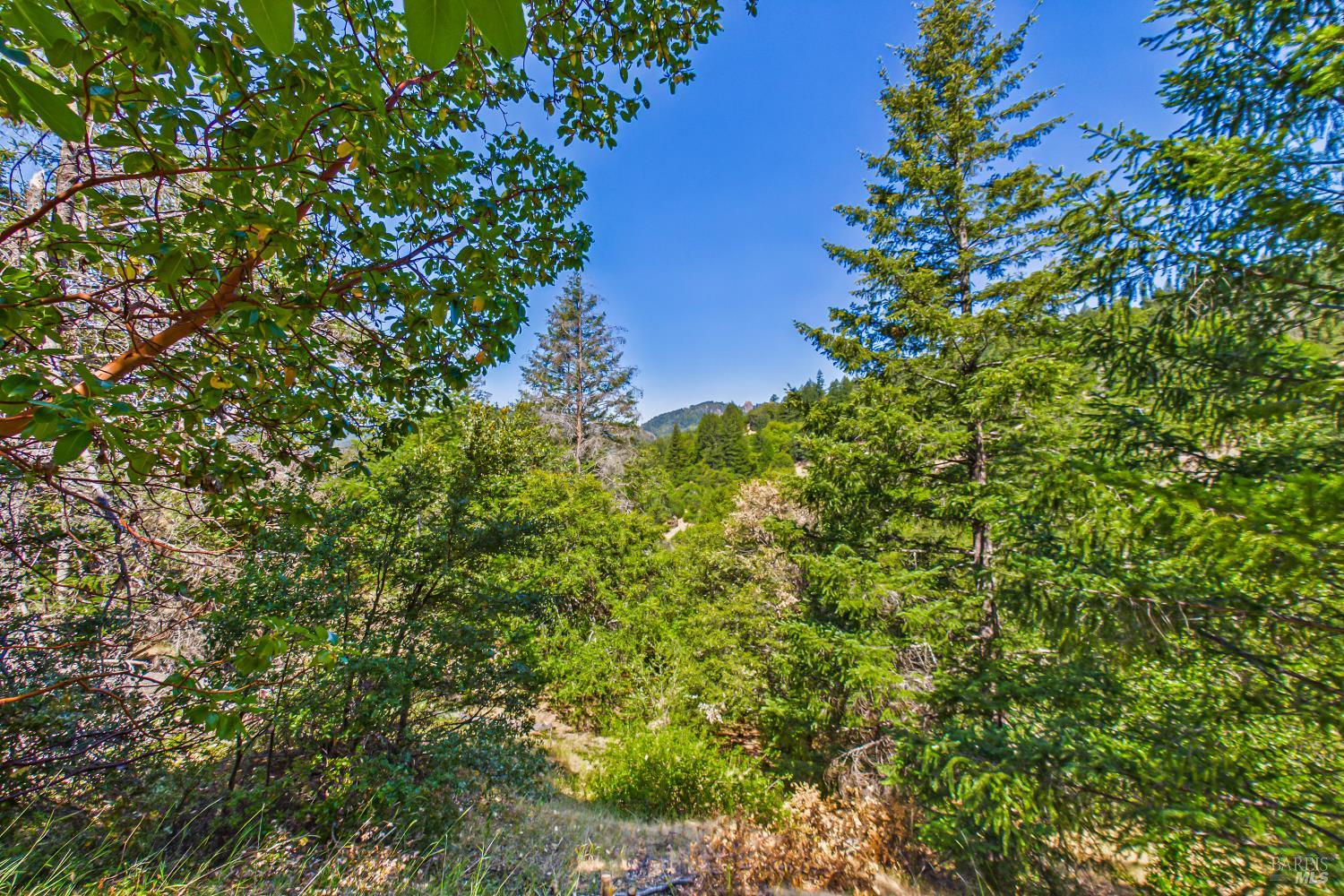 60890 Bell Springs Road Laytonville CA 95454
