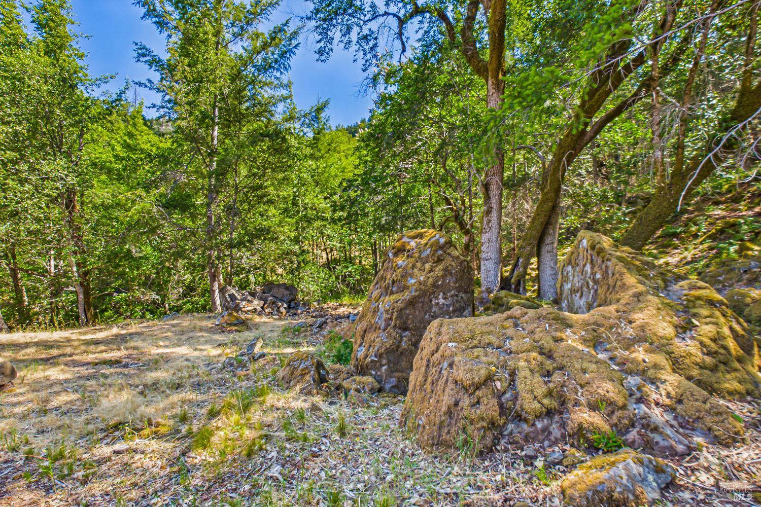 60890 Bell Springs Road Laytonville CA 95454