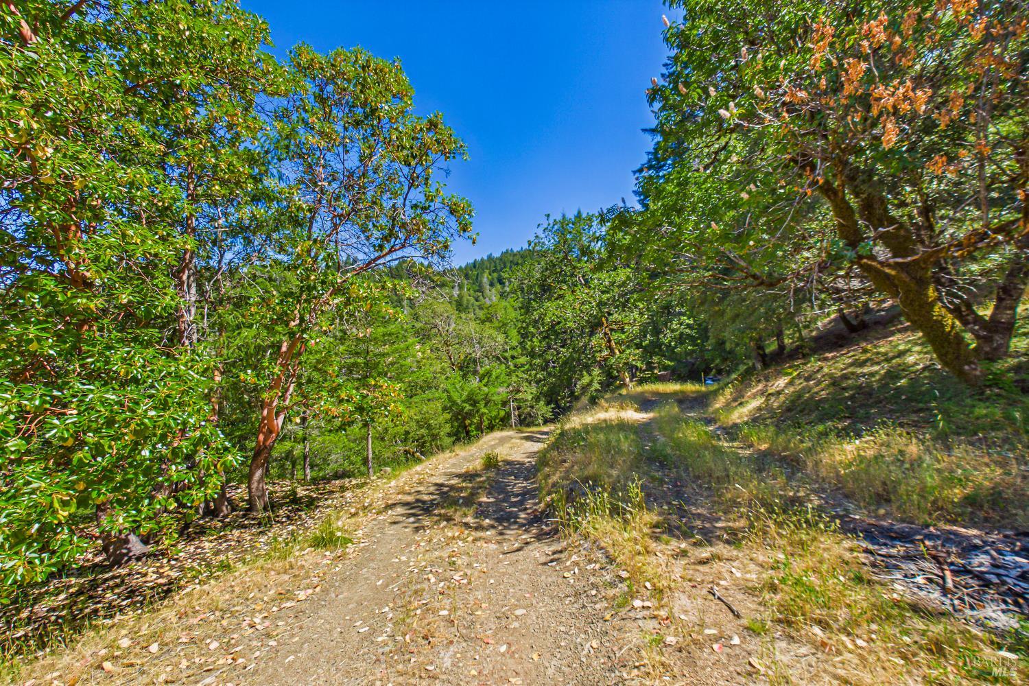 60890 Bell Springs Road Laytonville CA 95454