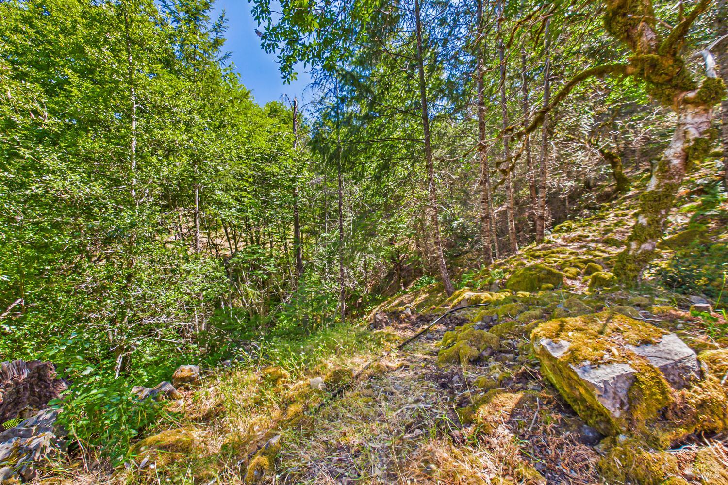 60890 Bell Springs Road Laytonville CA 95454