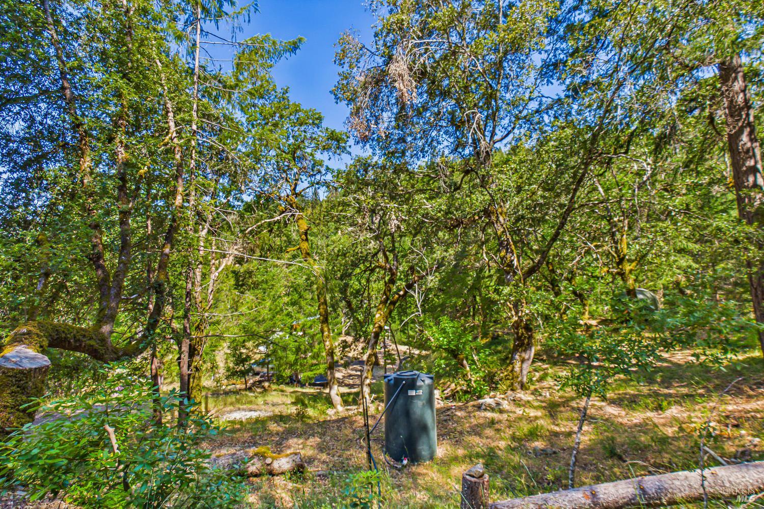 60890 Bell Springs Road Laytonville CA 95454