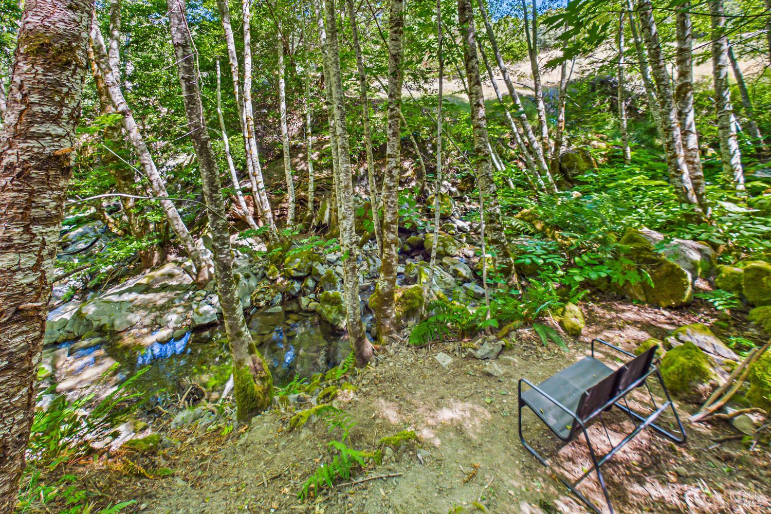 60890 Bell Springs Road Laytonville CA 95454