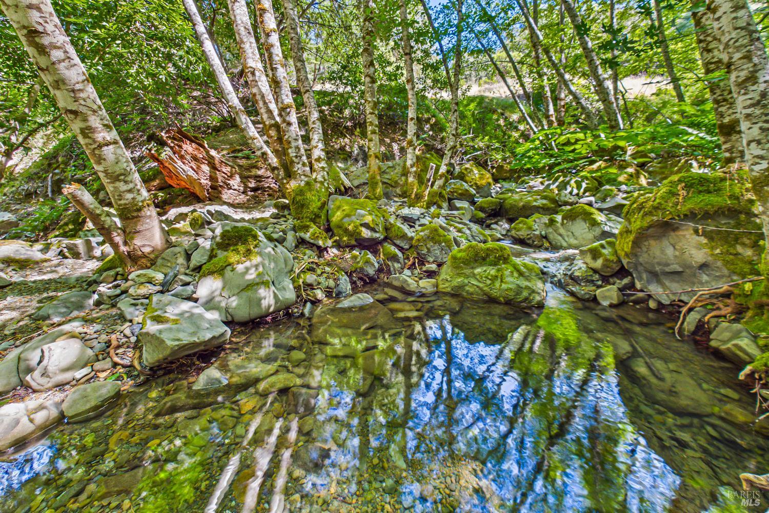 60890 Bell Springs Road Laytonville CA 95454