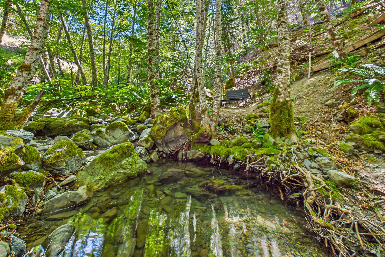 60890 Bell Springs Road Laytonville CA 95454