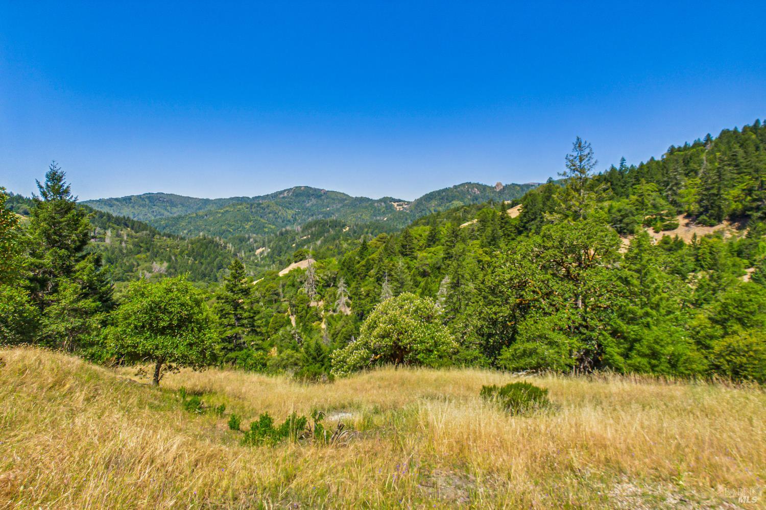 60890 Bell Springs Road Laytonville CA 95454