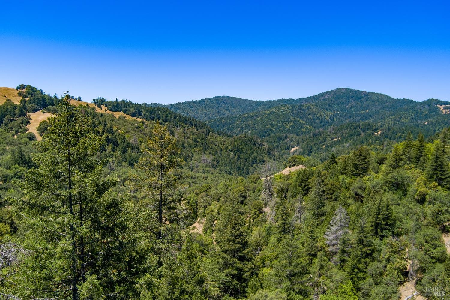60890 Bell Springs Road Laytonville CA 95454