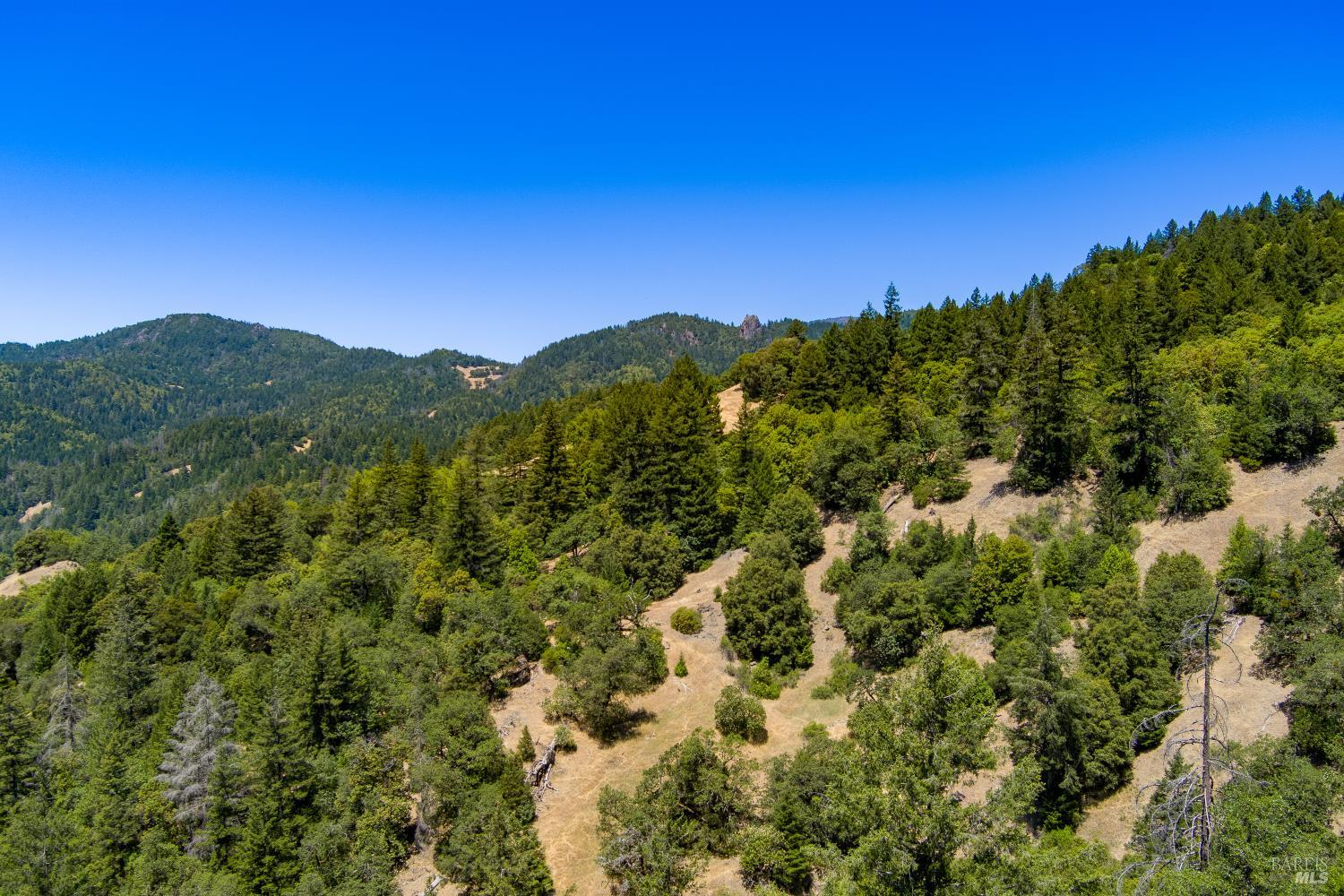 60890 Bell Springs Road Laytonville CA 95454