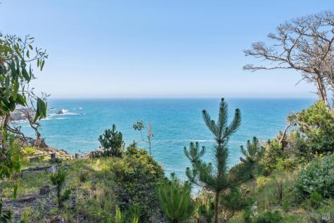 23432 Highway 1 Jenner CA 95450
