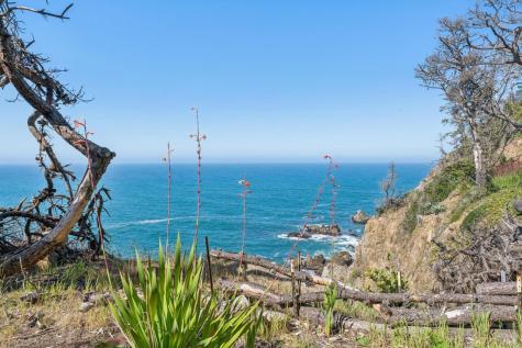 23432 Highway 1 Jenner CA 95450