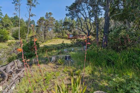 23432 Highway 1 Jenner CA 95450