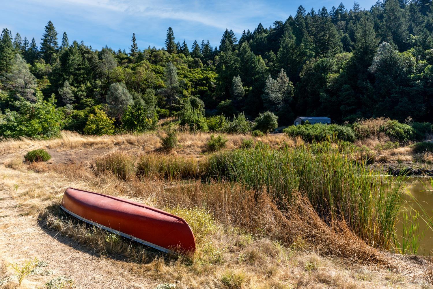 34010 Shimmins Ridge Road Willits CA 95490