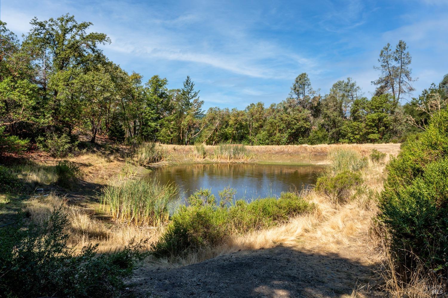 34010 Shimmins Ridge Road Willits CA 95490