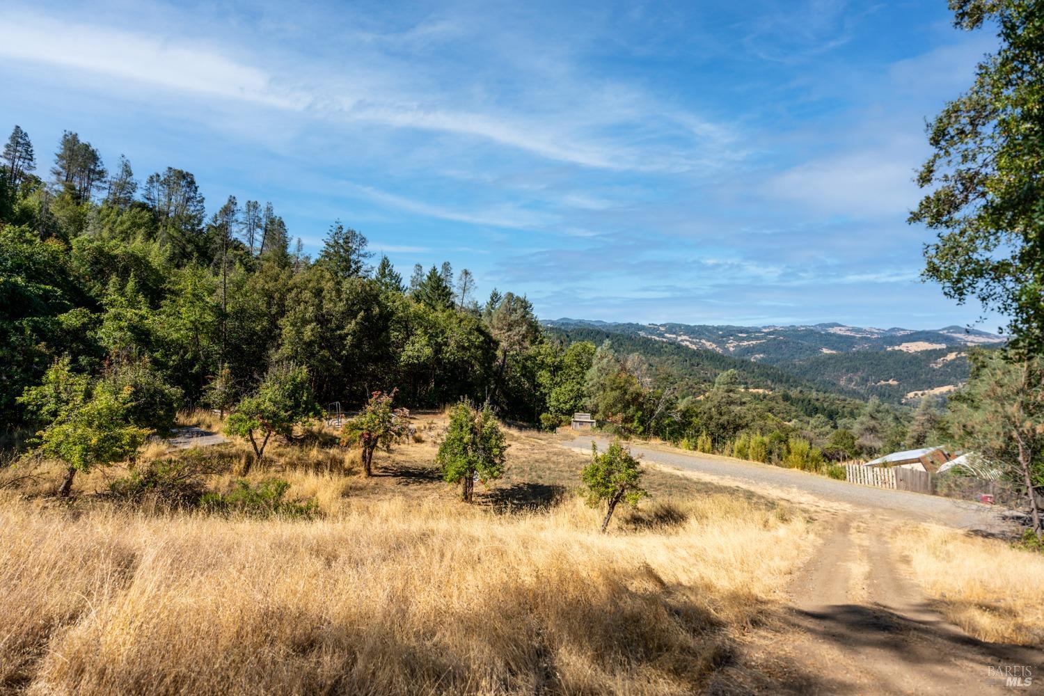34010 Shimmins Ridge Road Willits CA 95490